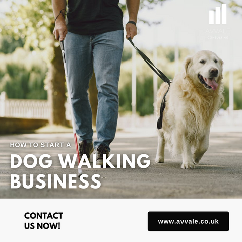 How to start a dog walking business plan template