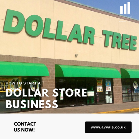 how to start a dollar store  business plan template