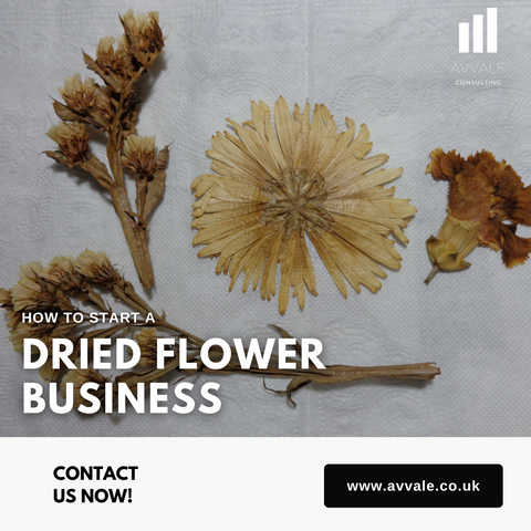 how to start a dried flower  business plan template