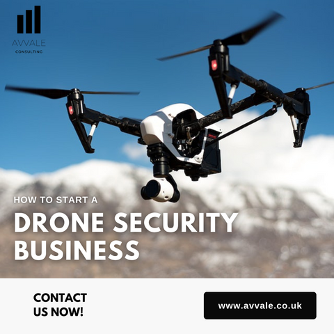 how to start a drone security  business plan template