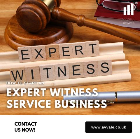 how to start a expert witness service  business plan template