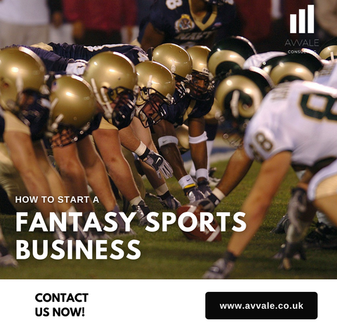 how to start a fantasy sports  business plan template