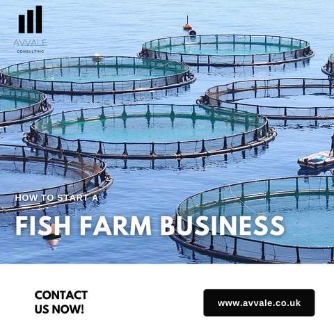 how to start a fish farm business plan template