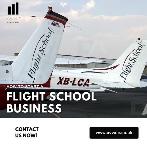 how to start a flight school business plan template