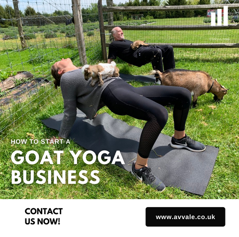 how to start a goat yoga  business plan template