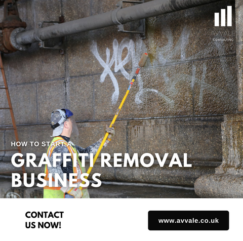 how to start a graffiti removal  business plan template