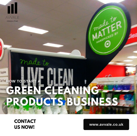how to start a green cleaning products  business plan template