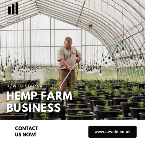 how to start a hemp farm  business plan template