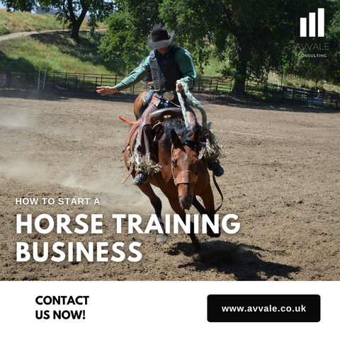 how to start a horse training  business plan template