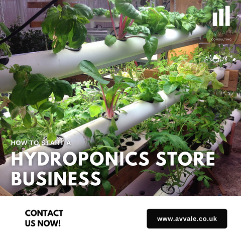 how to start a hydroponics store  business plan template