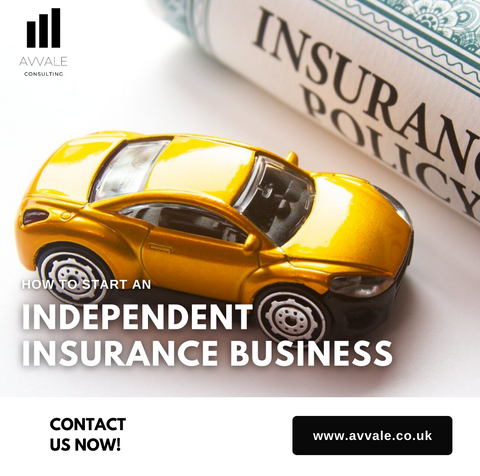 how to start a independent insurance  business plan template