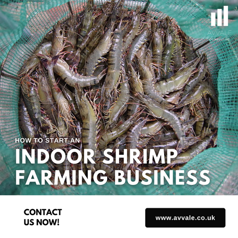 how to start a indoor shrimp farming  business plan template