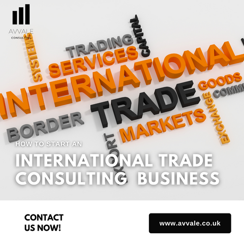how to start a international trade consulitng  business plan template