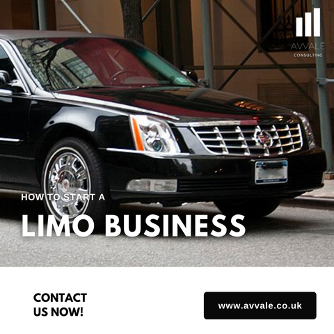 how to start a limo  business plan template