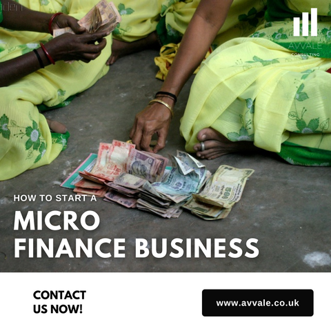 how to start a micro finance  business plan template