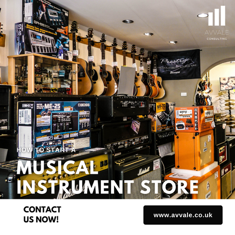 how to start a musical instument store business plan template