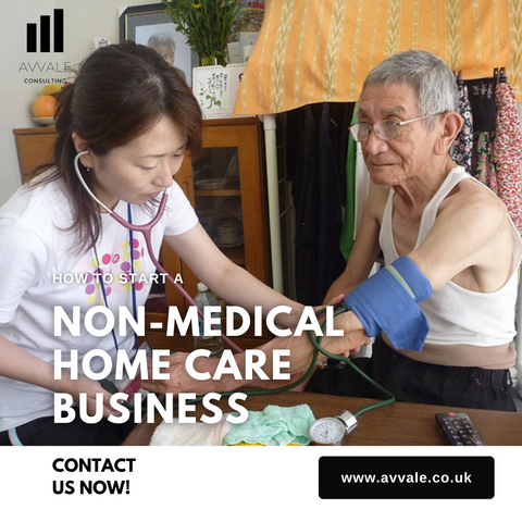How to start a non medical home care business plan template