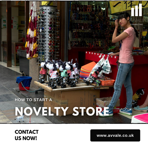 how to start a novelty store business plan template