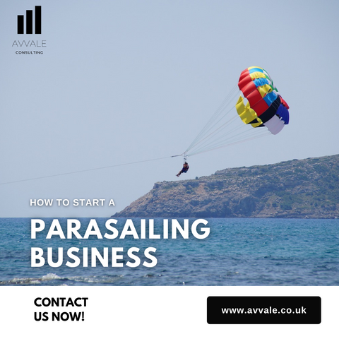 how to start a parasailing business plan template