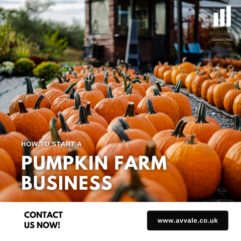 How to start a Pumpkin Farm Business