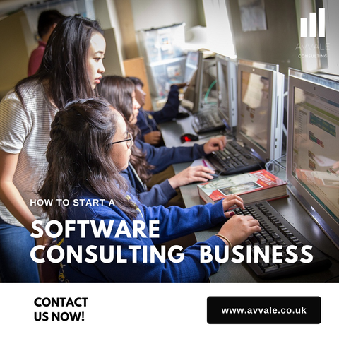 how to start a software consulting business plan template