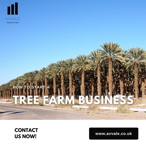 How to start a Tree Farm Business Plan Template