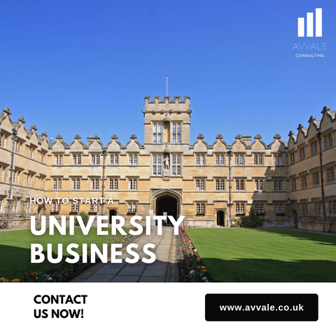 How to start a University Business Plan Template