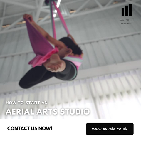 how to start an aerial arts studio business plan template