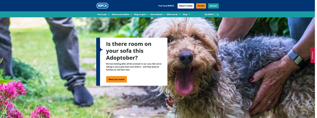 Website Design & Creation for animal rescue website URL 5