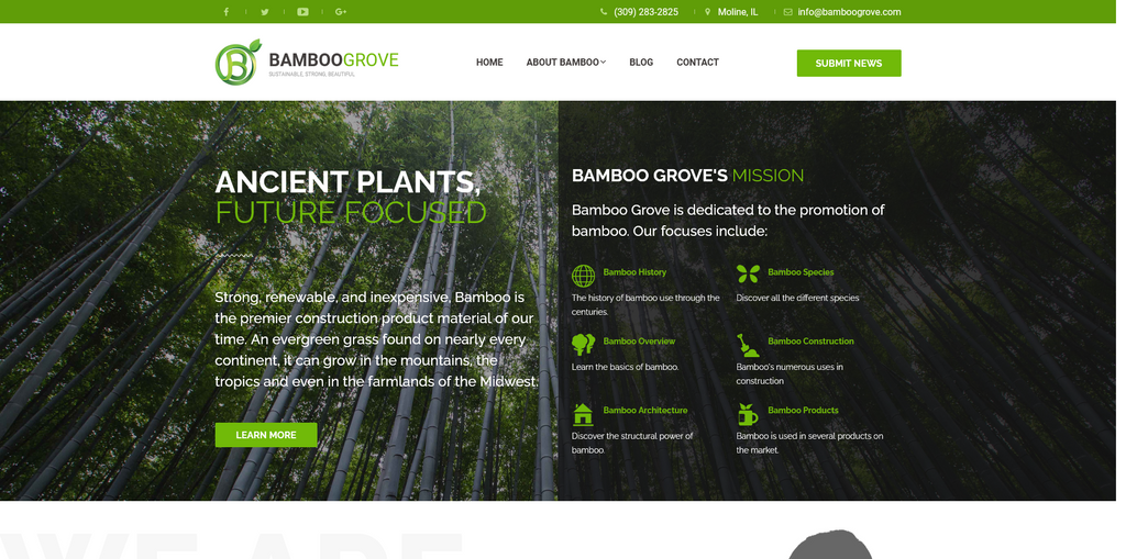 Website Design & Creation for bamboo farm website URL 1