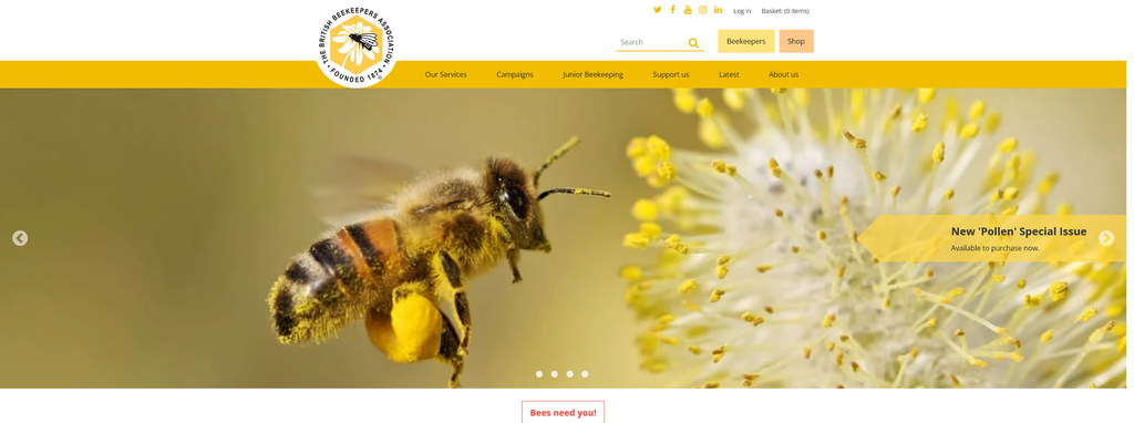 Website Design & Creation for beekeeping website URL 3