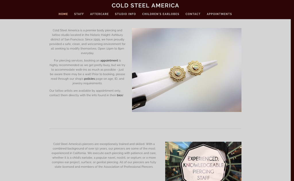 Website Design & Creation for body piercing shop website URL 5