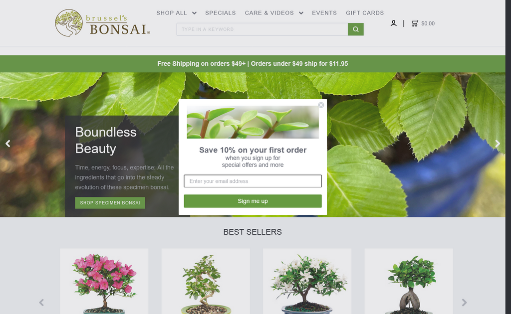 Website Design & Creation for bonsai tree website URL 3