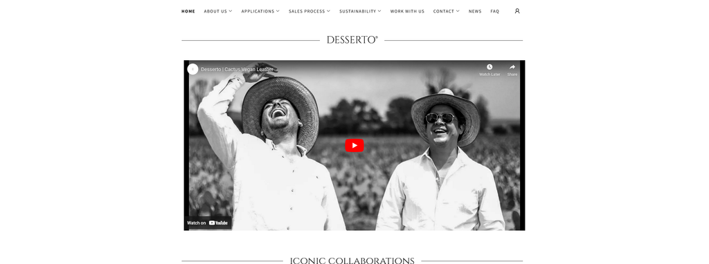 Website Design & Creation for cactus leather website URL 2