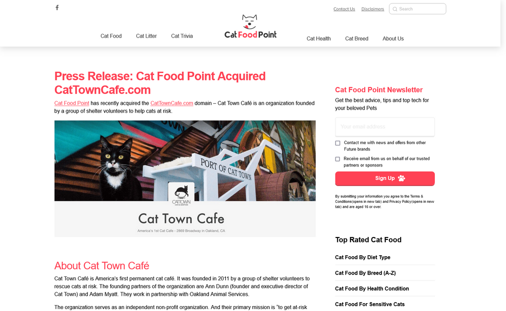 Website Design & Creation for cat cafe website URL 1