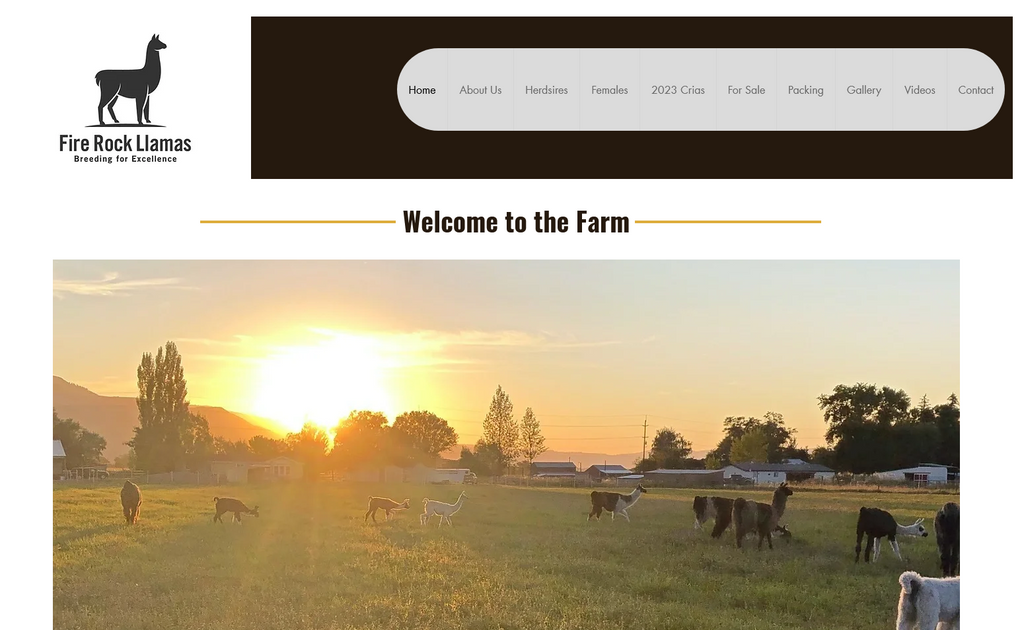 Website Design & Creation for cattle ranch website URL 1