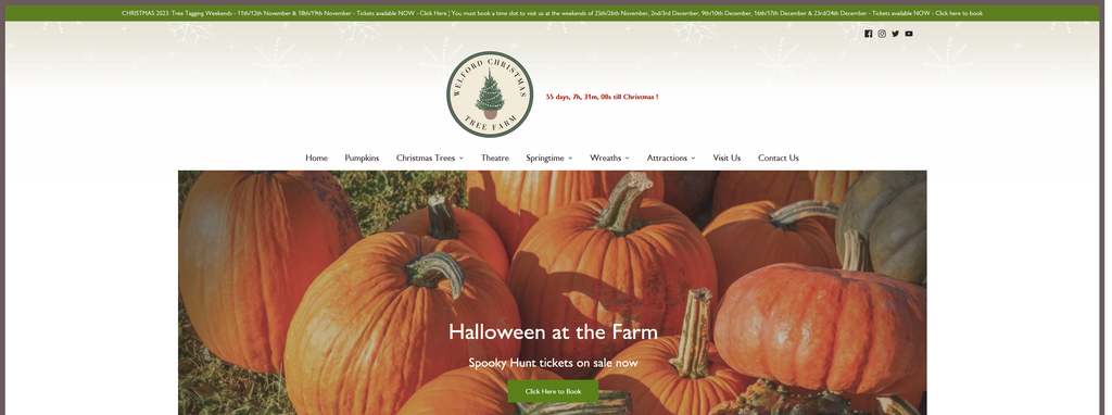 Website Design & Creation for christmas tree farm website URL 4