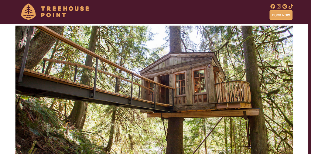 Website Design & Creation for custom treehouse website URL 1