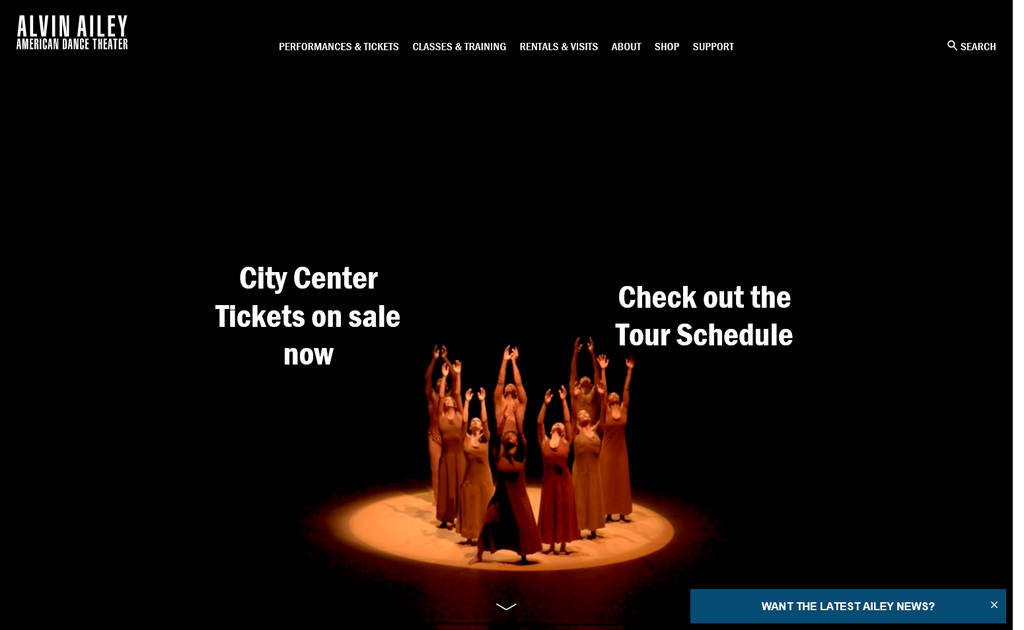 Website Design & Creation for dance studio website URL 4