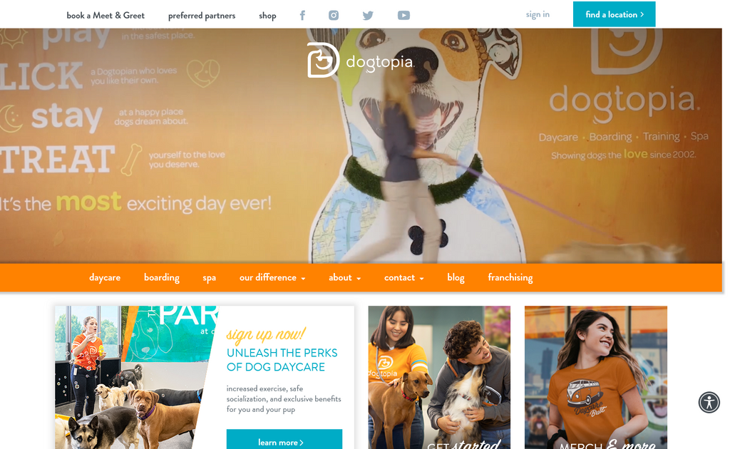 Website Design & Creation for dog daycare website URL 2