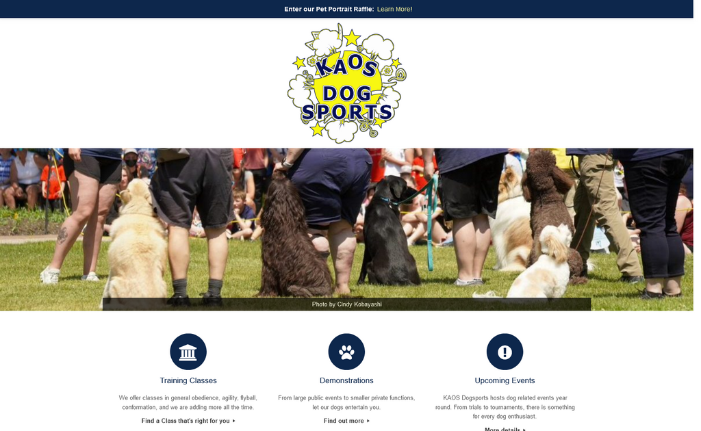 Website Design & Creation for dog daycare website URL 3
