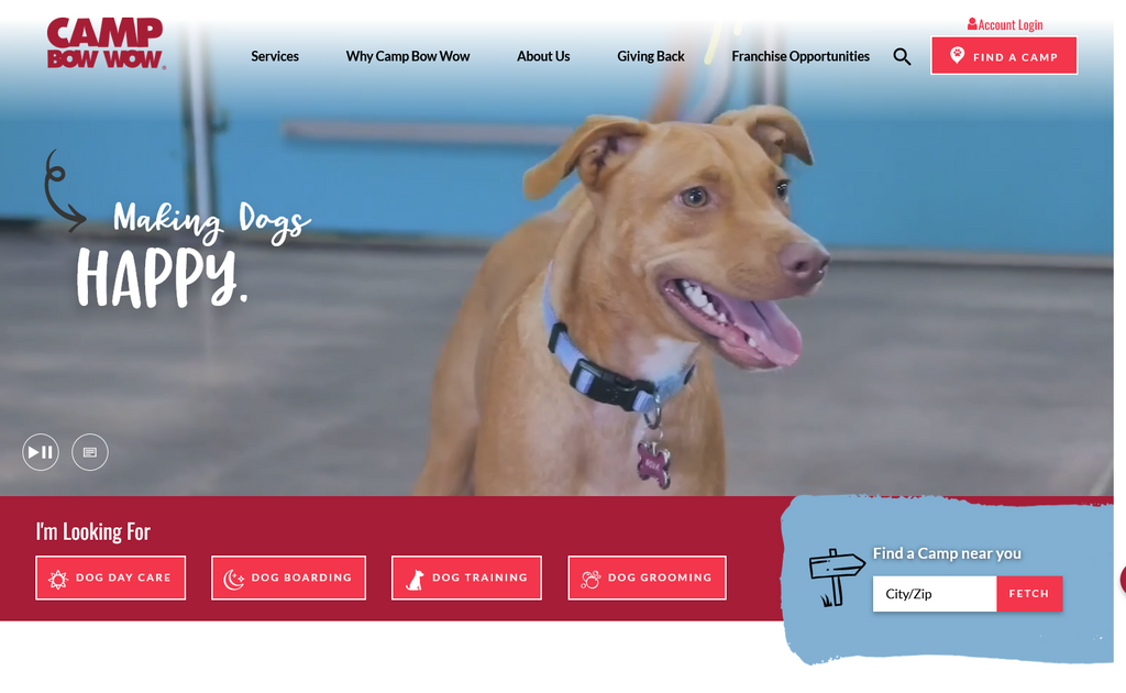 Website Design & Creation for dog daycare website URL 5