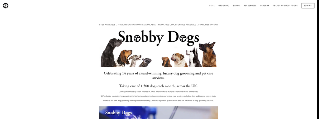 Website Design & Creation for dog grooming website URL 1