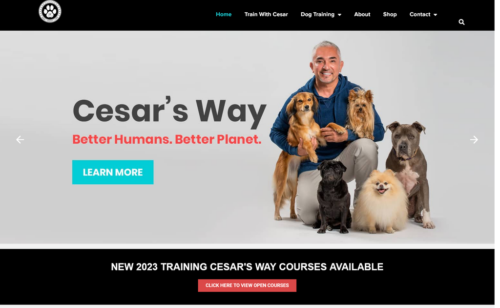 Website Design & Creation for dog training website URL 3