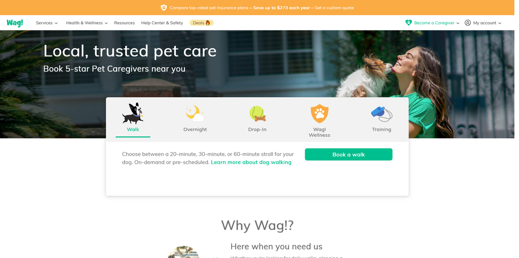 Website Design & Creation for dog walking website URL 1