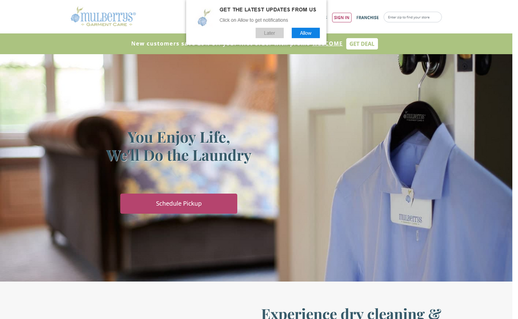 Website Design & Creation for dry cleaning website URL 1