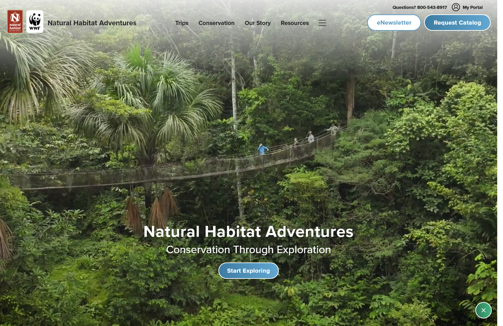 Website Design & Creation for ecotour website URL 1