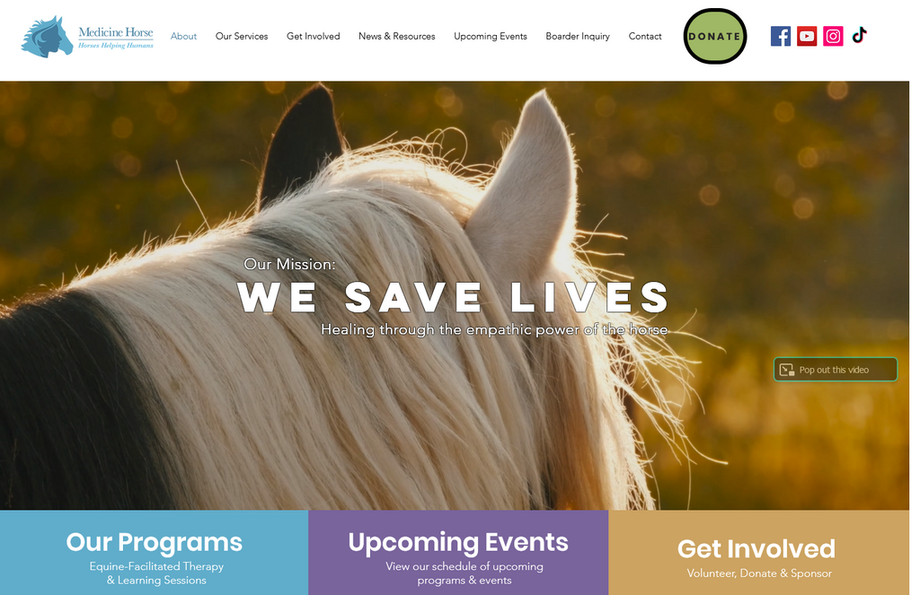 Website Design & Creation for equine therapy website URL 4