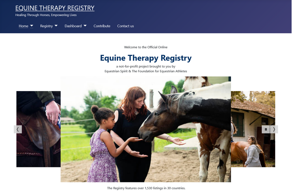 Website Design & Creation for equine therapy website URL 5