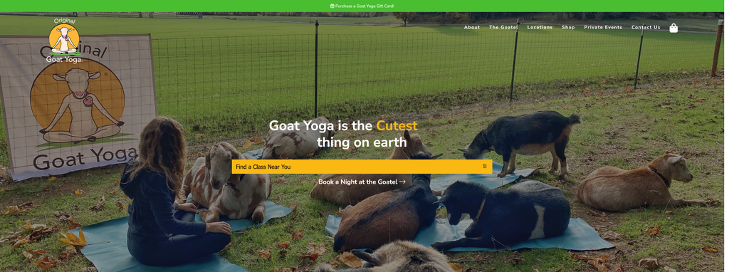 Website Design & Creation for goat yoga website URL 2